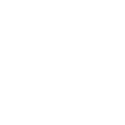 eラーニング動画の外国語化